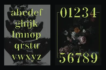 ACTU font