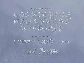 Nostalgic Script Font