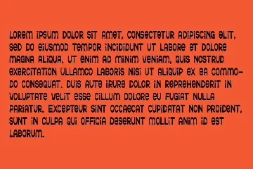 Ferguso - Aesthetic Sans Serif Font