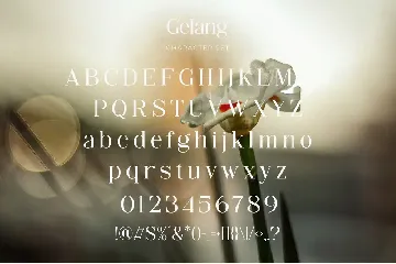 Gelang - Stylish & Modern Serif Font