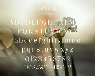 Gelang - Stylish & Modern Serif Font