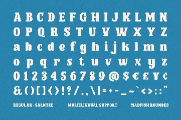 Madfish Typeface font