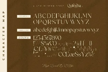 Qeinsha A New Modern Serif Font