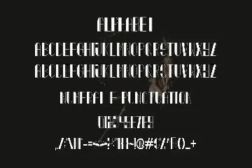 Bhaeyan - Elegant Sans Serif font