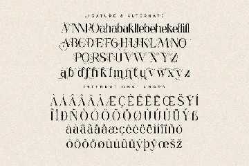 Gerant Modern Serif Font