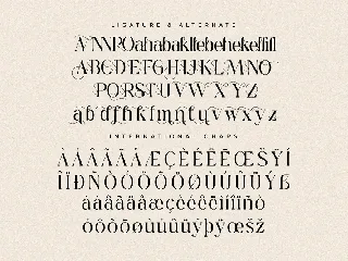 Gerant Modern Serif Font