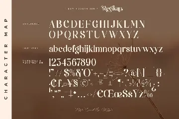 Regikan A New Modern Serif Font