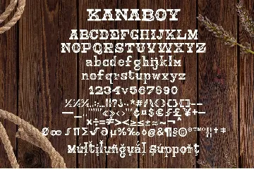 Kanaboy font