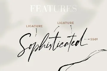 Enternity Signature Script font