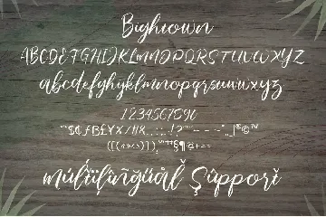 bightown font