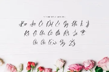 Anastasya - Fashion Font