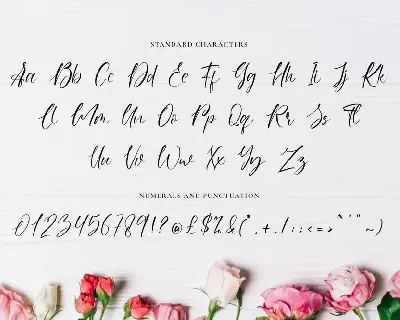 Anastasya - Fashion Font