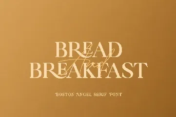 Boston Angel Serif font