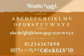 Boston Angel Serif font