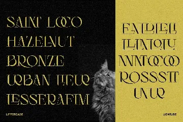 Luncat font