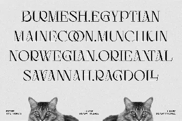 Luncat font