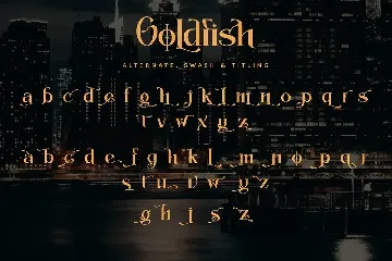 Goldfish font