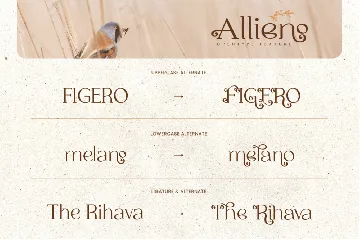 Allieno Font