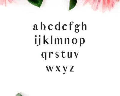 Cordaro Serif Font Family