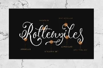 The Lord Of Bronze - Romantic Calligraphy Font