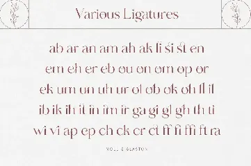 Mollie Glaston-Modern Ligature Serif font