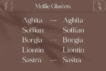 Mollie Glaston-Modern Ligature Serif font