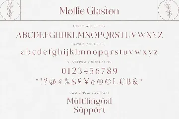 Mollie Glaston-Modern Ligature Serif font