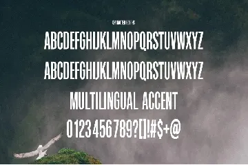 Working Condensed Sans Font Typeface