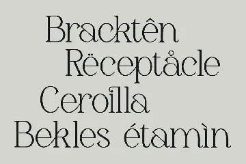 Gerlick Modern Serif Font