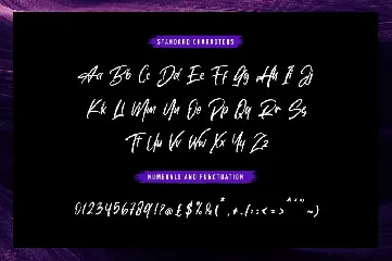 Alphayouth - Brush Font