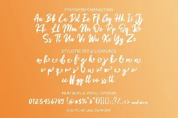 Berthon - Brush Script Font