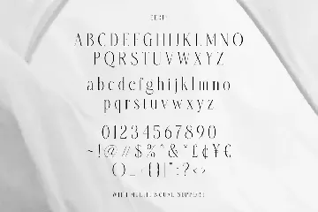 Amelia Harper font