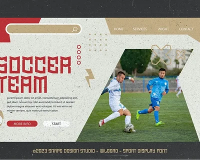 Wilgerd - Sport Font