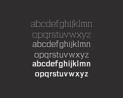 Brydon Serif Typeface font