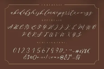 Endless Loveness Beauty Calligraphy font