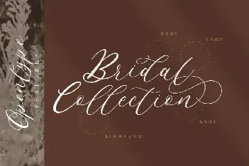 Endless Loveness Beauty Calligraphy font