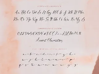 Delmona Script Font