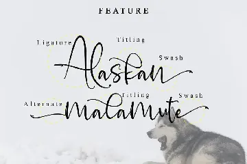 Alaskan malamute font