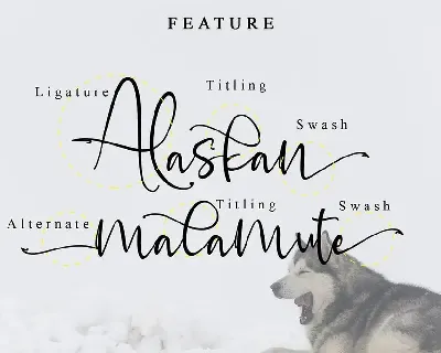 Alaskan malamute font