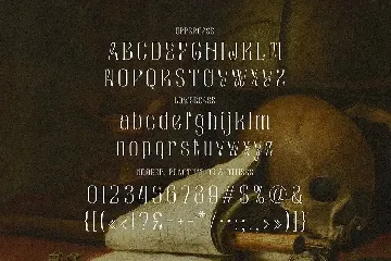 Chamberlain Condensed Display Serif font