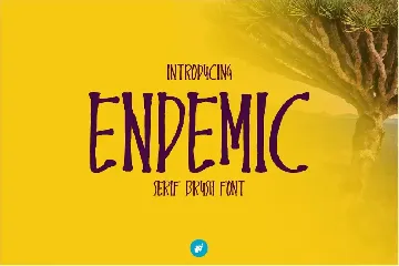 Endemic - Serif brush font