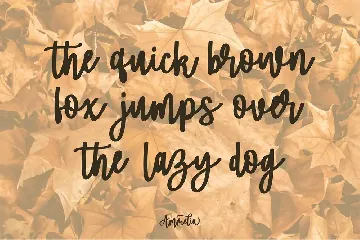 Ammelia | A Beauty & Stylish Font