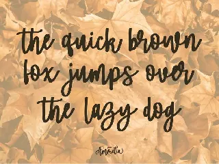 Ammelia | A Beauty & Stylish Font