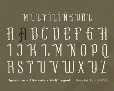 Vionla - Serif Condensed Display Font