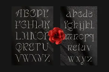 Arogant - Modern Classy Font