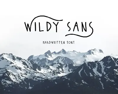 Wildy Sans font