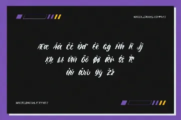 Shuttles - Brush Font