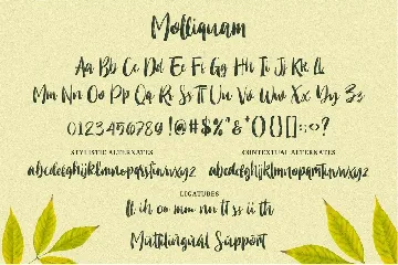 Molliquam font