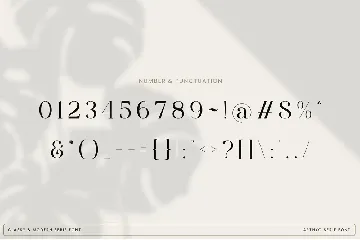 Arthyc Serif Font