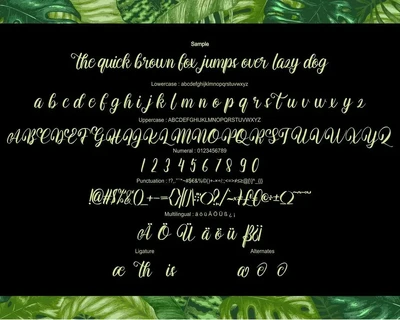 Baithas | Modern Script Font